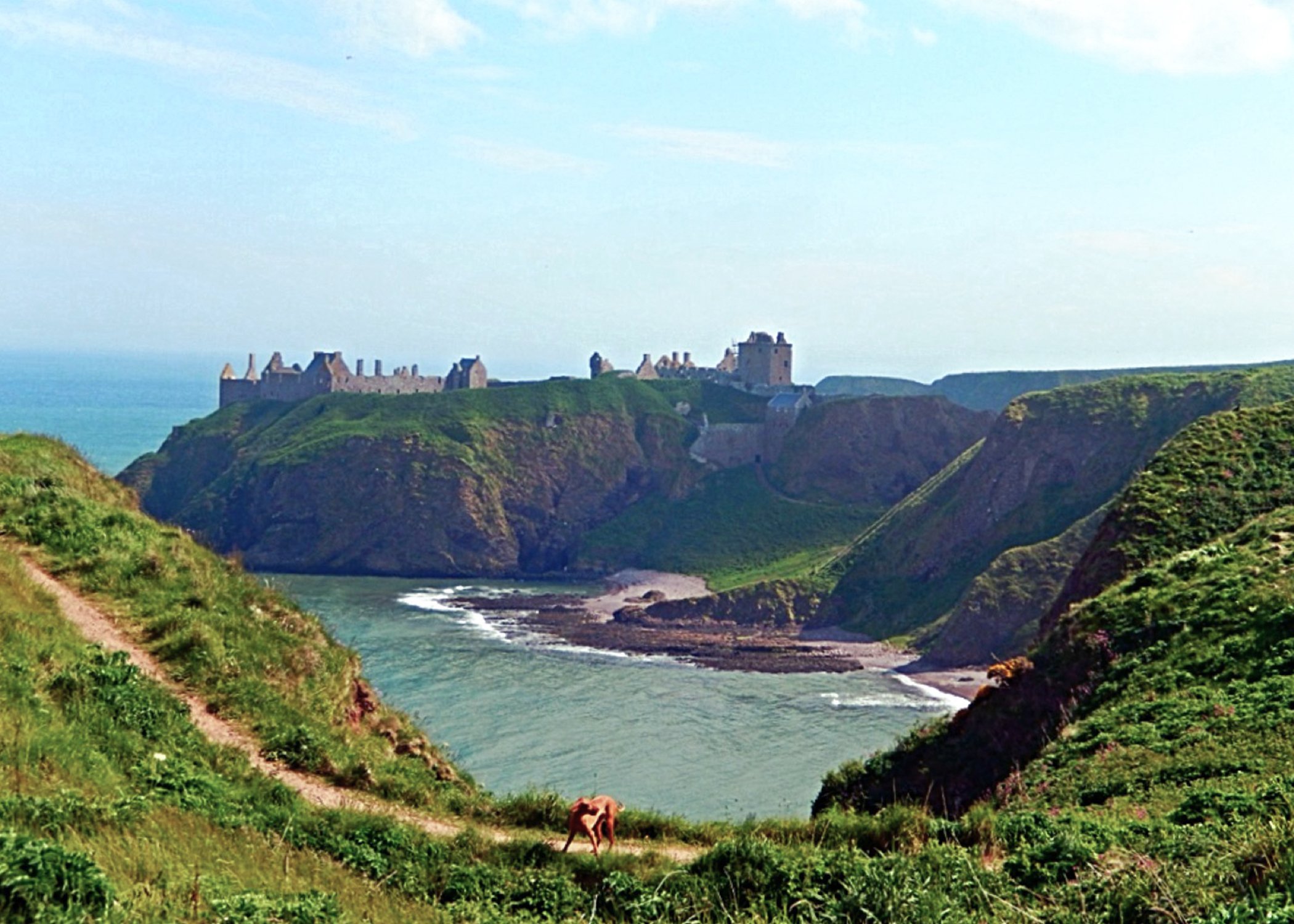 Image of a dog and the Dunnotar Castle in the distance