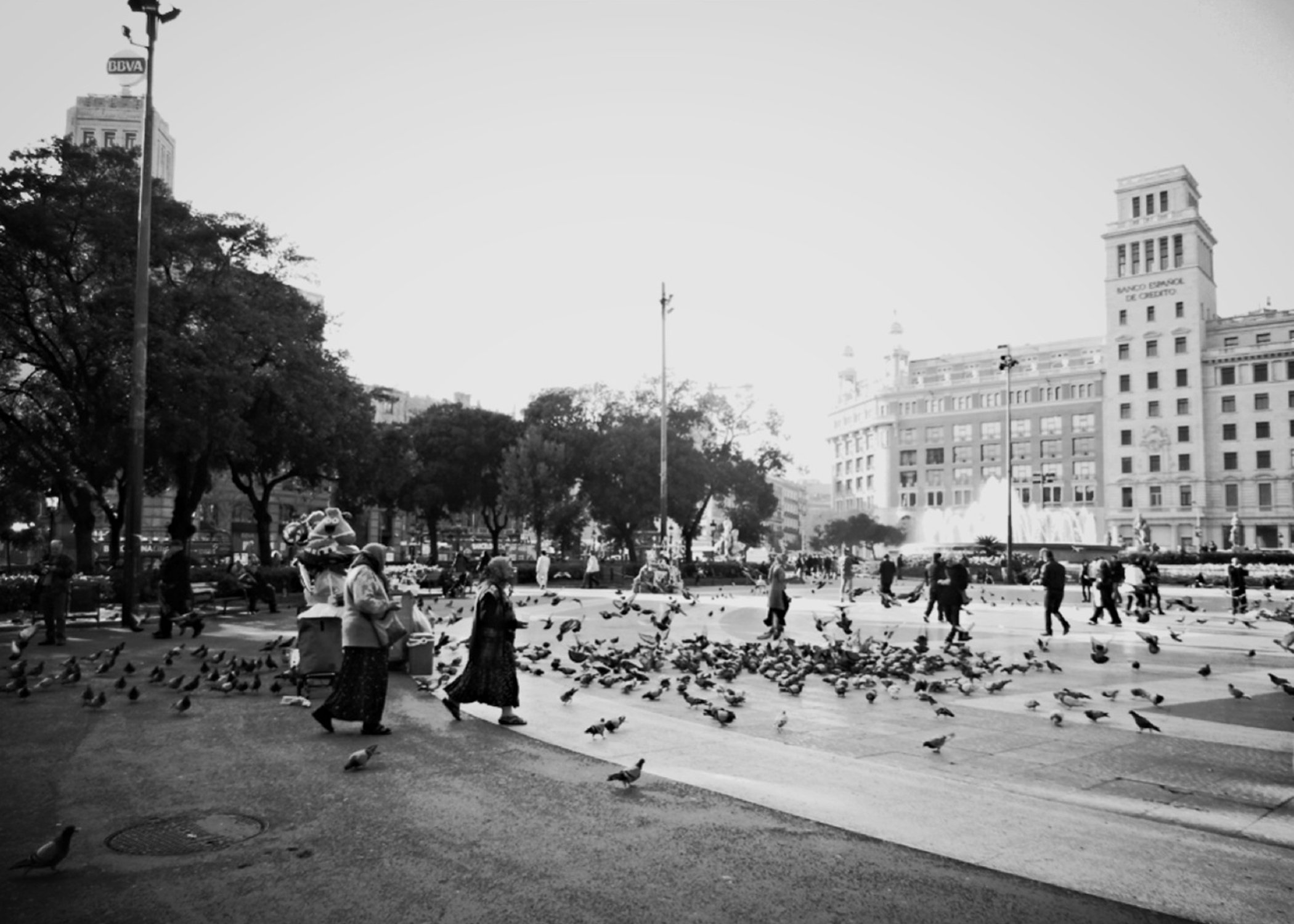 Image of women walking past a large flock of pigeons in Barcelona