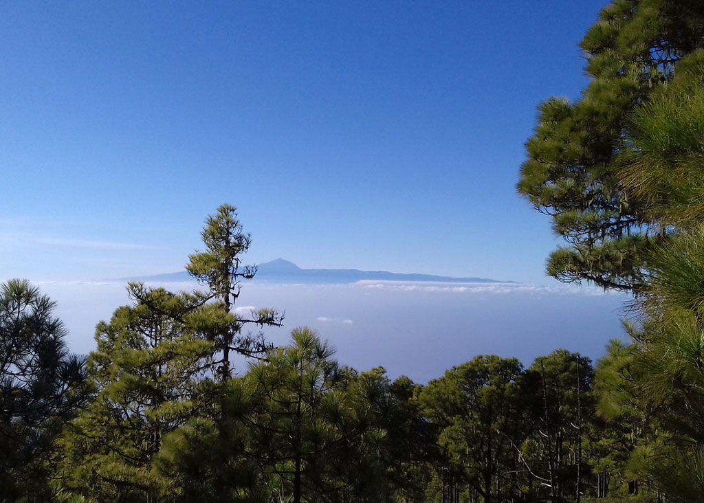 Image of a scenery of nature, and the view of Mount Telde, Tenerife